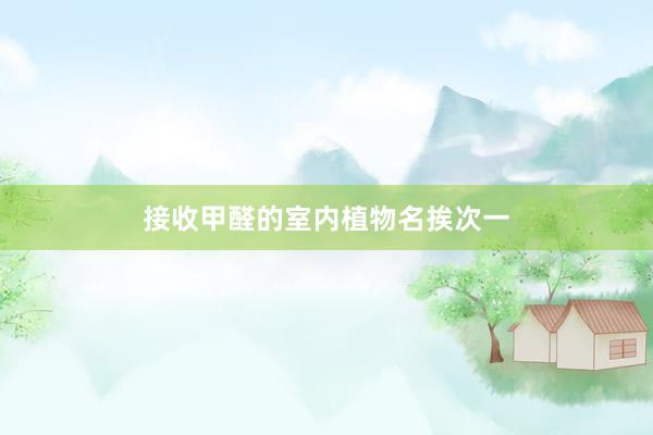 接收甲醛的室内植物名挨次一