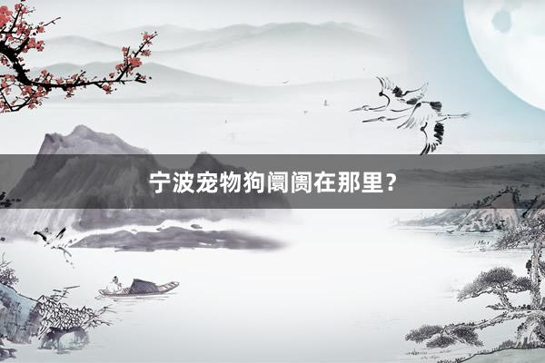 宁波宠物狗阛阓在那里？